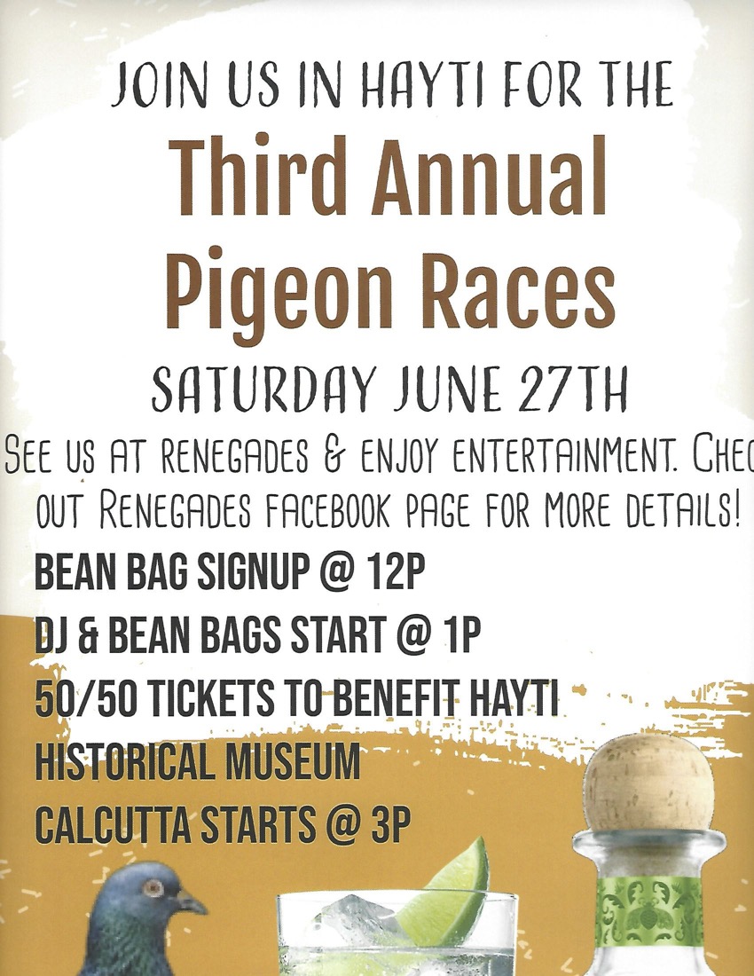 View Third Annual Pigeon Races PDF